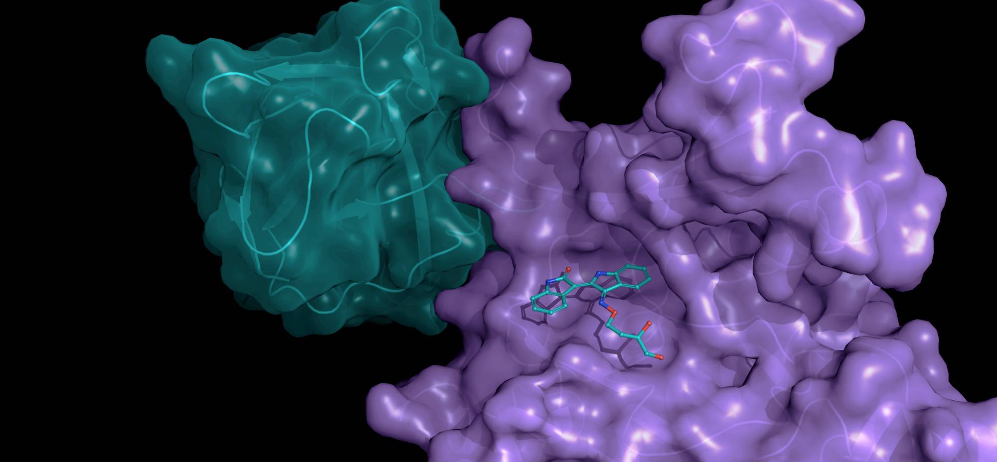 Data driven drug discovery